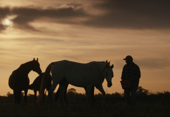 4HORSES